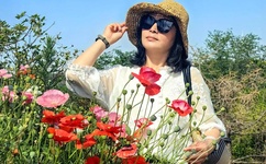 战枭城和江芸媚全文免费阅读